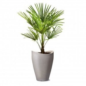 Pflanzgefäß 254 Wave Globe Hig