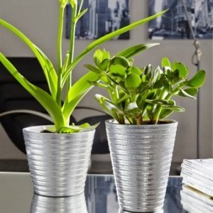 Pflanzgefäß Terra Noble