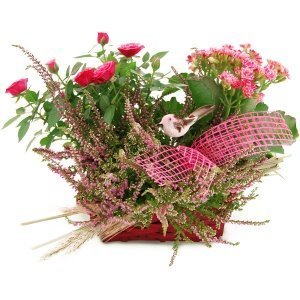 Pflanzgesteck Blütenfest