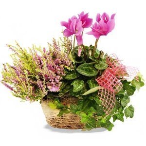 Pflanzgesteck Herbst