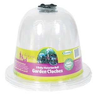 Pflanzglocke "Victorian Bell", Baby-Size