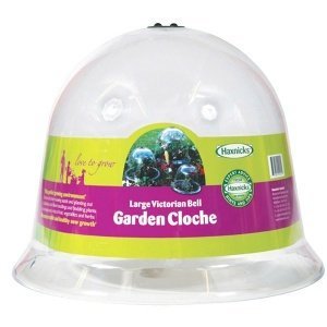 Pflanzglocke "Victorian Bell", King-Size