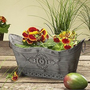 Pflanzkasten -Rokko-, Eisen antik creme,