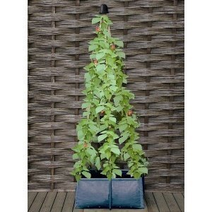 Pflanzsack für Gemüse