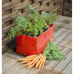 Pflanzsack für Karotten, 2er-Pack
