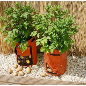 Pflanzsack für Kartoffeln, 2er-Pack