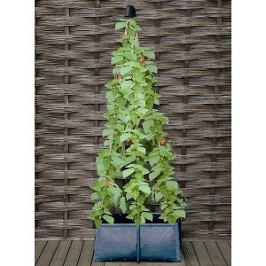 Pflanztasche für Gemüse