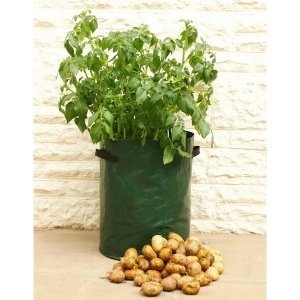 Pflanztasche für Kartoffeln, 3er-Pack