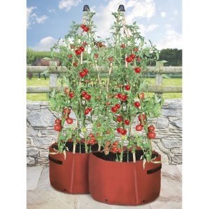 Pflanztasche für Tomaten und Gemüse, 2er