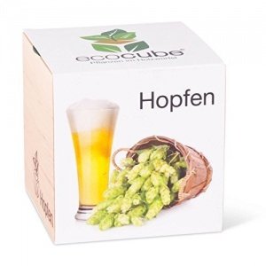 Pflanzwürfel "Hopfen"