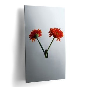 Philippi Wandvase MAUERBLÜMCHEN