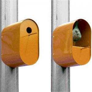 PIPEEP Futterhaus / Nistkasten ORANGE