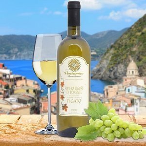 Pigato DOC Frantoio Venturino ligurische