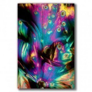 Pina Colada unter dem Mikroskop Bild auf