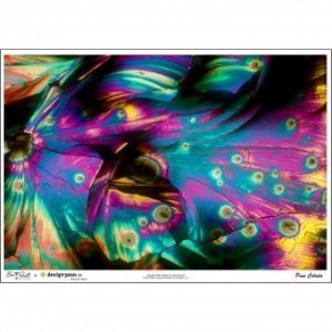 Pina Colada unter dem Mikroskop Metallic