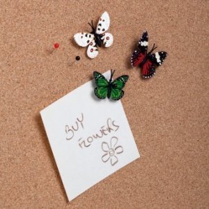 Pinnwand-Pins Pushpin Collection