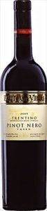 Pinot Nero Trentino DOC - Bottega Vinai