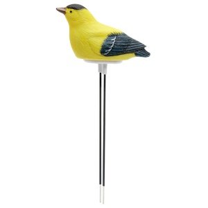 Plant Pet (Goldfink)