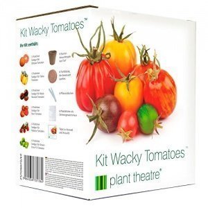 Plant Theatre Kit Wacky Tomatoes - 6 fantastischen Sorten zum Anbauen, ein großartiges Geschenk