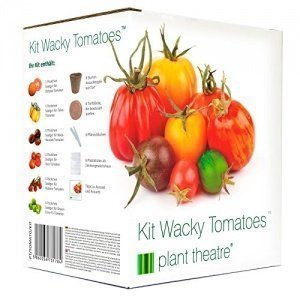 Kit Wacky Tomatoes