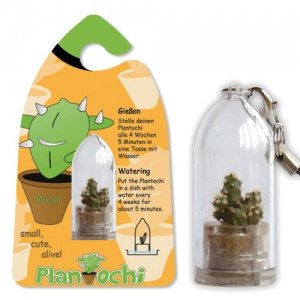 Plantochi - lebende Schlüsselanhänger
