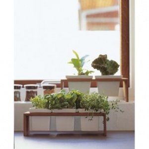 Plint 3 Keramik / Teak Schale 9x9 von Sk