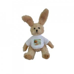 Plüsch Hase mit Foto