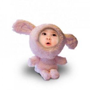 Plüsch Schaf mit Foto