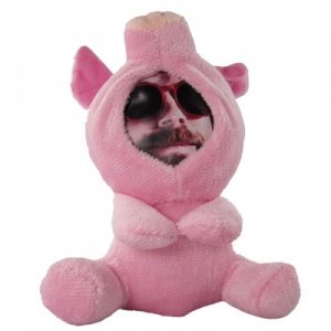 Plüsch Schwein mit Foto