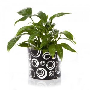 POTTERY SHIRT Blumenmanchette RETRO / M