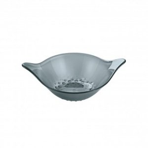 Portionsschale Leaf transparent anthrazi