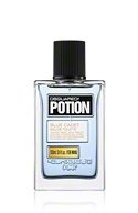 Potion Blue Cadet von Dsquared² - Eau de