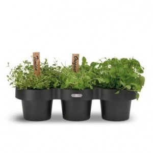 Pots Aufbewahrung schwarz von Skagerak