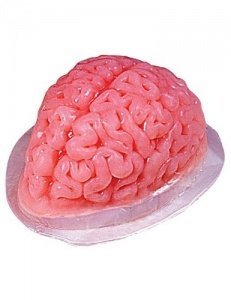 Puddingform Gehirn