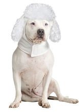 Pudel Hunde-Kostüm-Mütze weiss