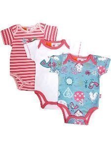 Pumpkin Patch Bodies Kurzarm 3er Pack Pi