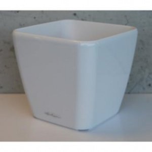 QUADRO 21 Premiumserie (innen) hochglanz