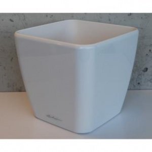 QUADRO 28 Premiumserie (innen) hochglanz