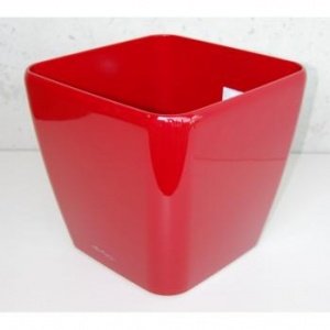 QUADRO 28 Premiumserie (innen) scarlet r