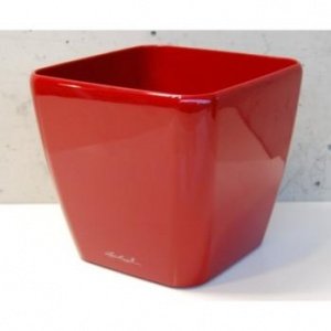 QUADRO 35 Premiumserie (innen) scarlet r