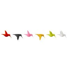 Qualy - Hummingbird´s Magnete, 6er-Set