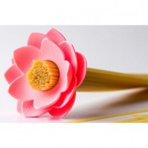 Qualy Spaghettimaß Lotus pink QL10158p