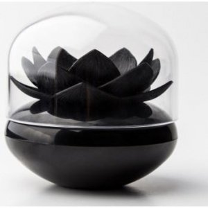 Qualy Wattestäbchenhalter Lotus schwarz 