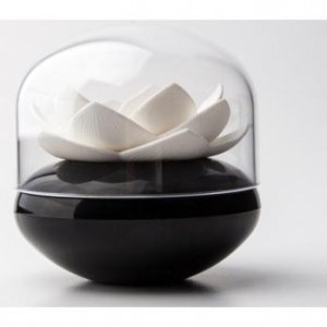 Qualy Wattestäbchenhalter Lotus schwarz 