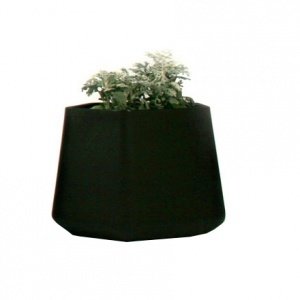 Qui est Paul? - Rock Garden Planter - me