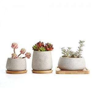 Rachel-s Zement Serie Sukkulenten Töpfe