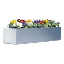 Radius Design - Blumenkasten 50 cm, Edel