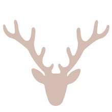 Radius Design - Trophäe