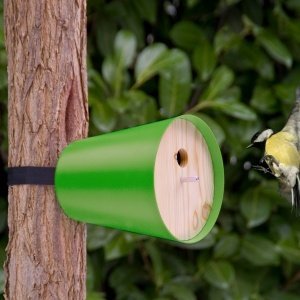 Radius PIEP SHOW HOME Vogelhaus grün