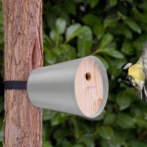 Radius PIEP SHOW HOME Vogelhaus silber